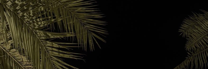 Ra79082287's profile banner image