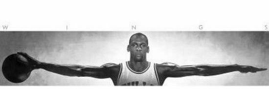 𝘼𝙇𝙀𝙓 banner