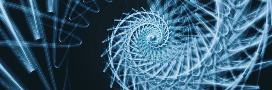 RIN₳ User Group banner