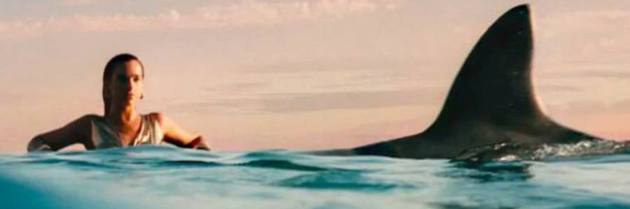 shaun • fan account banner