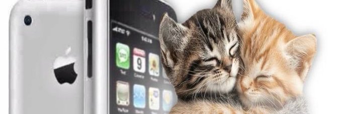 Tygr The Creator banner