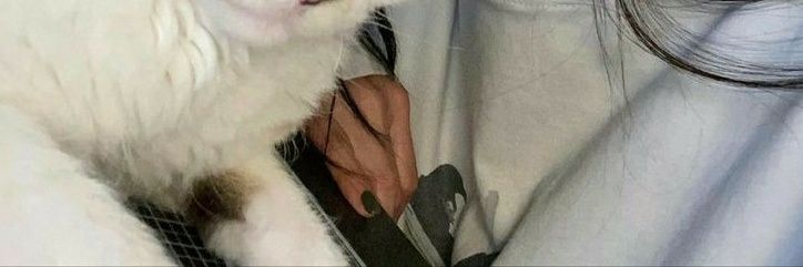 jjjenow's profile banner image