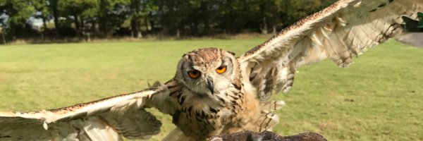 thegarisch Profile Banner