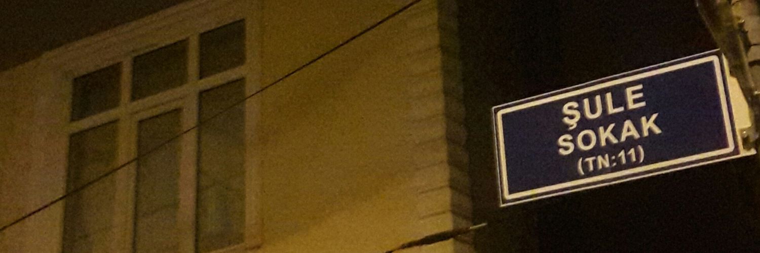 suleesiimsek's profile banner image