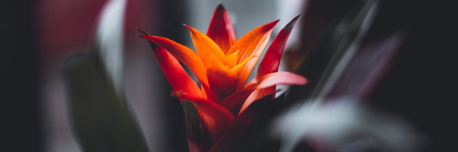emerjy's profile banner image