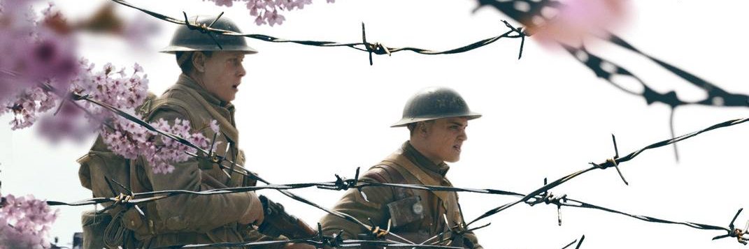 weatherkid 🍉🌾 | i 💜 ashley re4 | 🆓️ 🇵🇸 banner