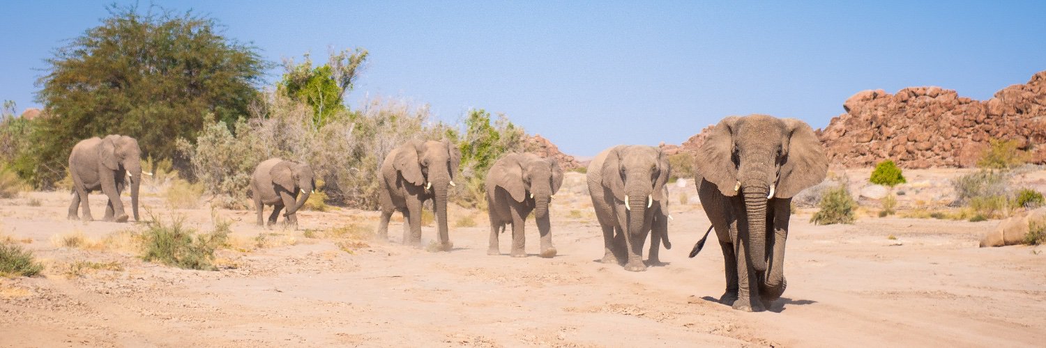 Elephant-Human Relations Aid banner