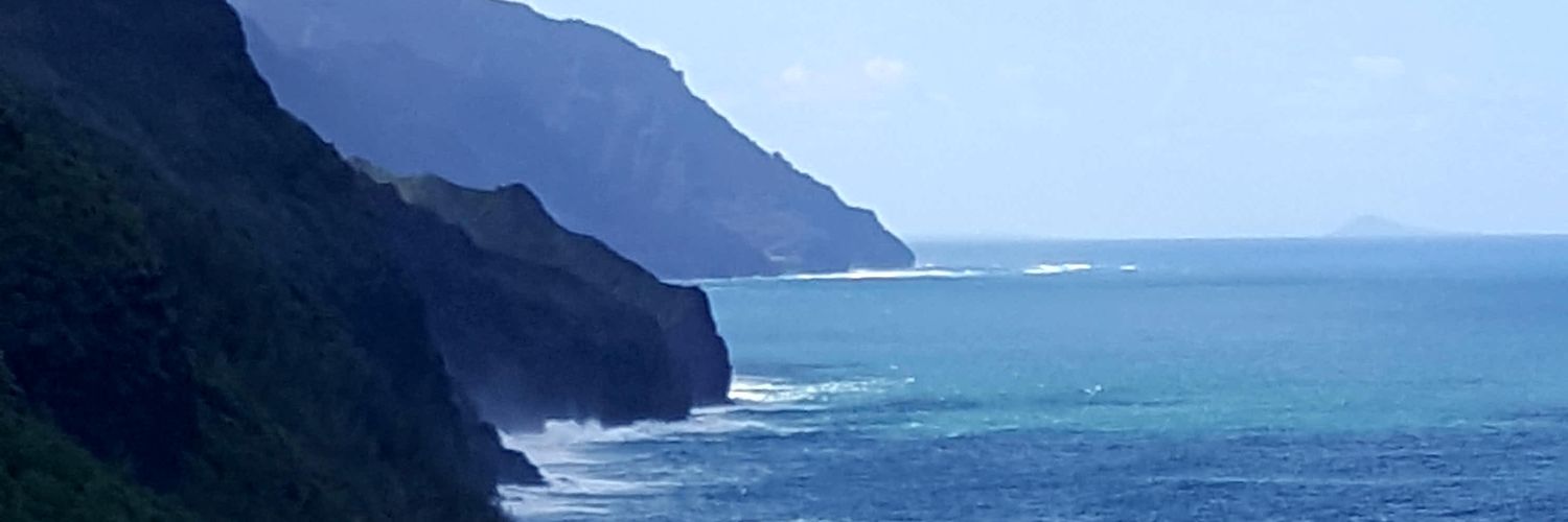 EmilyCathey's profile banner image