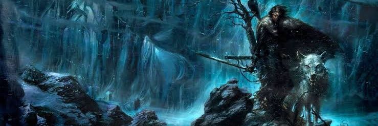 Jon Snow banner
