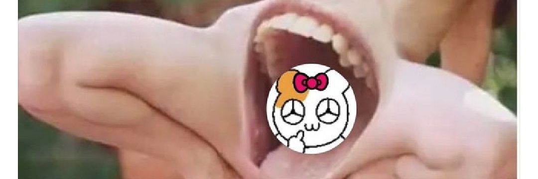 SSIBBALSAEGGI's profile banner image