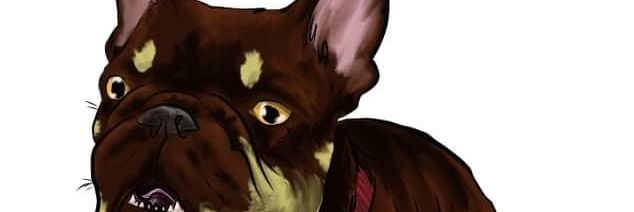 Jeff The French Bulldog banner