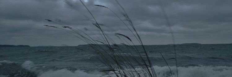 SeR_eInStEiN's profile banner image