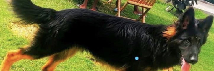 Iyeebah2's profile banner image