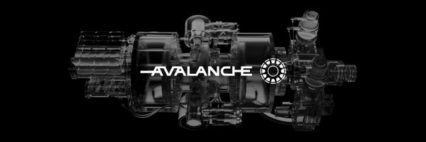 AvalancheFusion Profile Banner