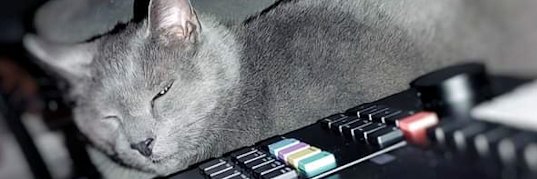 RENEGADE ANDROiD banner