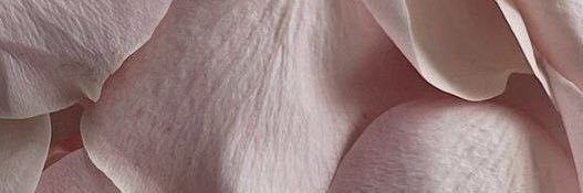 𝐋𝐄𝐍𝐀🖤 banner