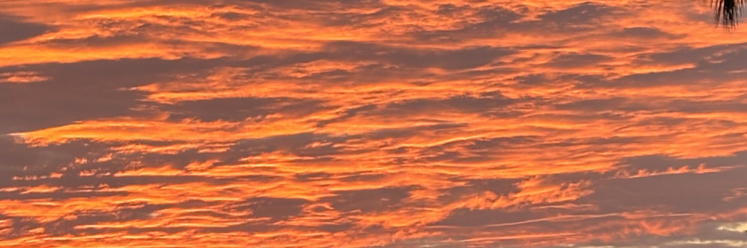 PCaudii's profile banner image