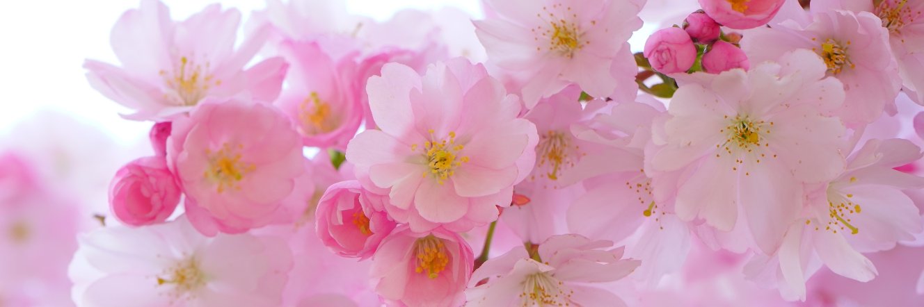 1GirlWhoWrites's profile banner image