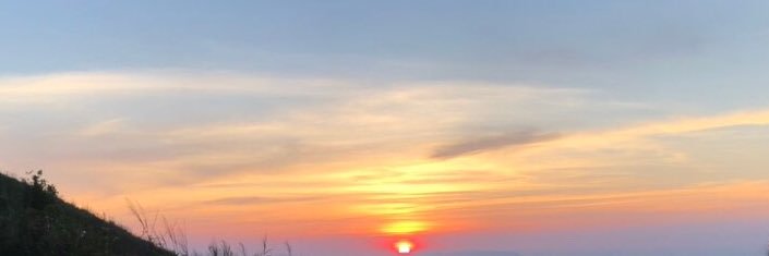 𝑝𝑖𝑛𝑔𝑔𝑔 banner