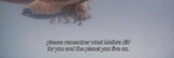mothra_moth Profile Banner