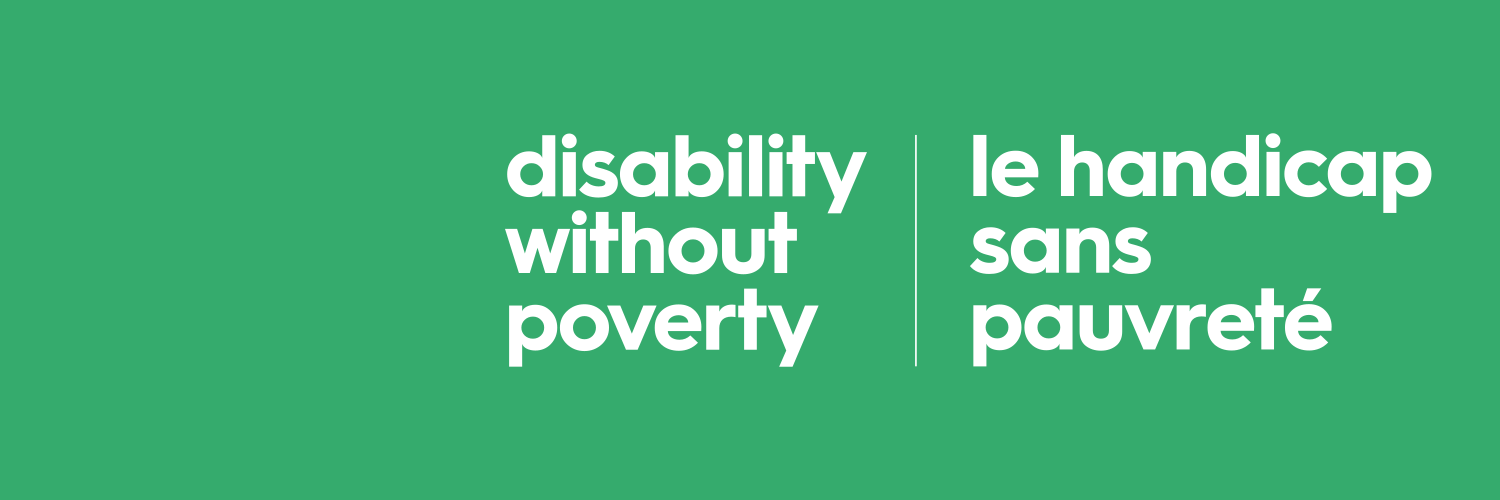Disability Without Poverty's banner