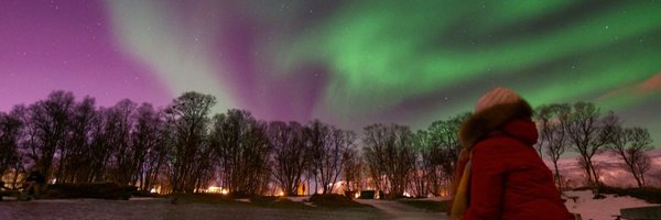 LachiVeronica Profile Banner