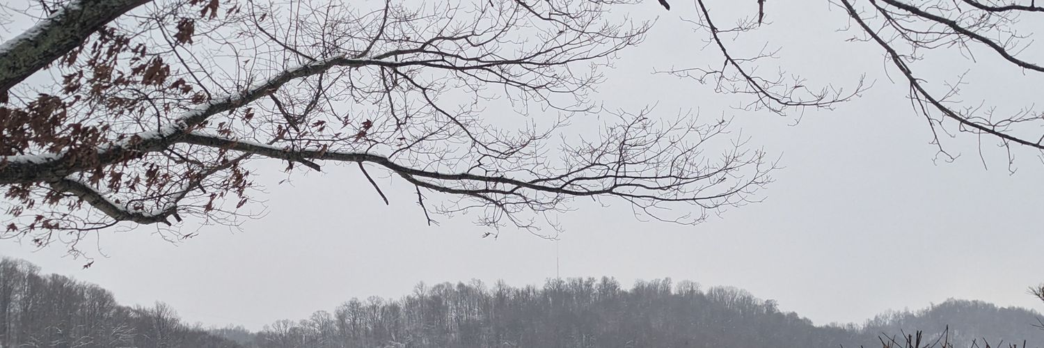 xnaomi's profile banner image