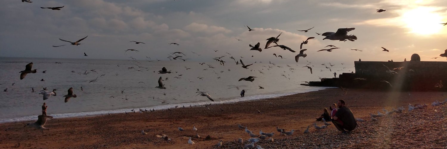 Stephan Manning banner