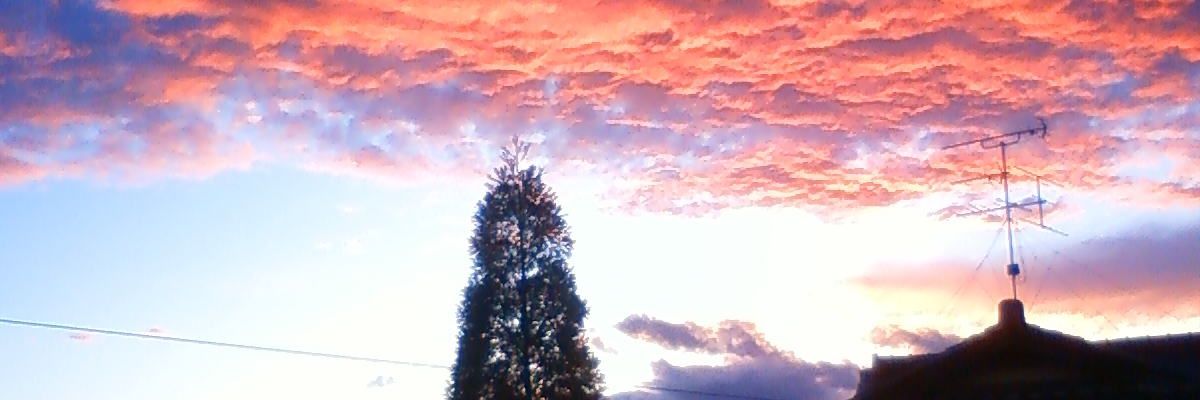 akazukinn15's profile banner image