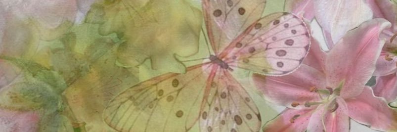 avery ₊˚⊹♡ banner