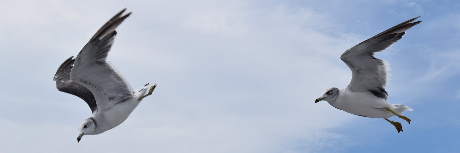 46kirin1's profile banner image
