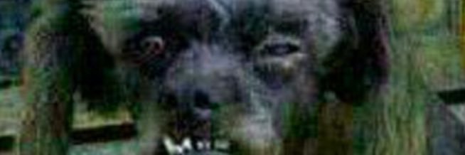 passcu_'s profile banner image