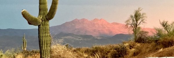 KimmyOnTheRight 🌵🇺🇸 Profile Banner