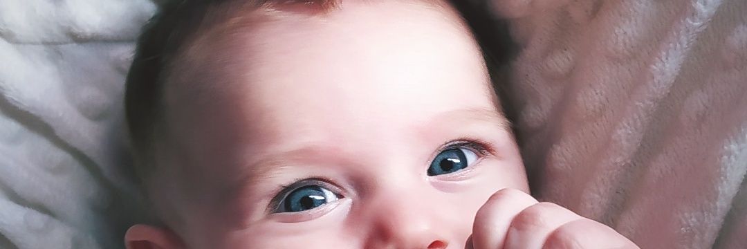 Dani_Rod_Rod's profile banner image