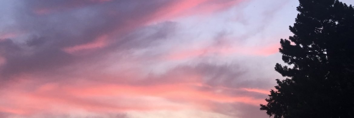 prncssfanta's profile banner image