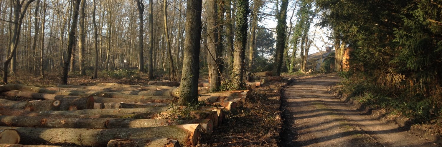 ForetPatrimoine's profile banner image