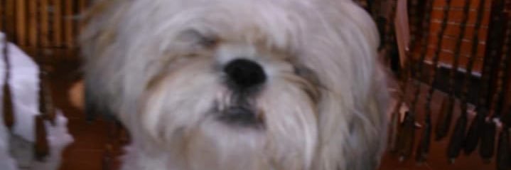 Fdz3Andrea's profile banner image