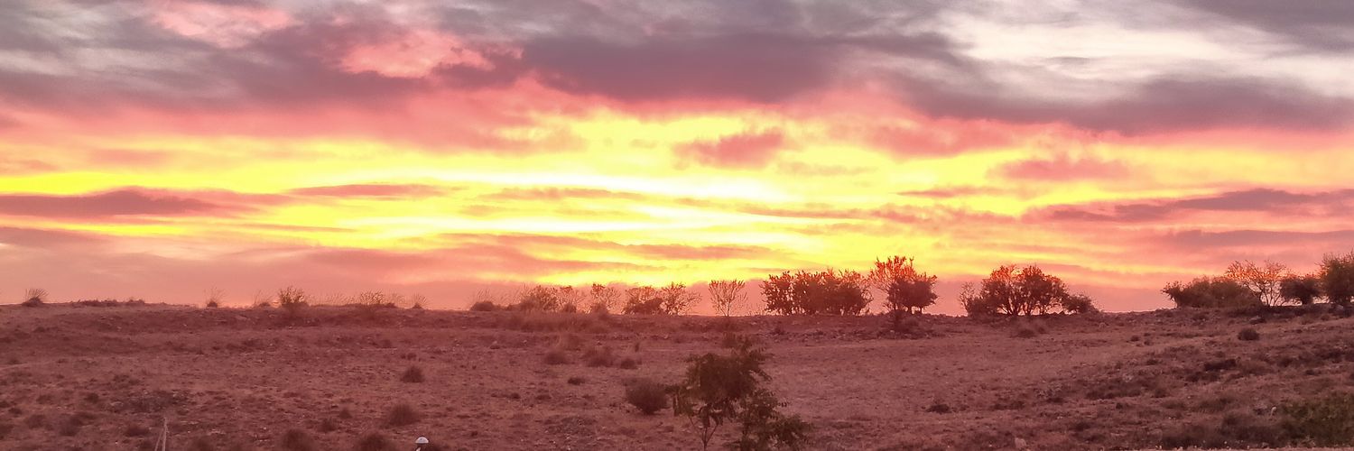 DBilezz's profile banner image
