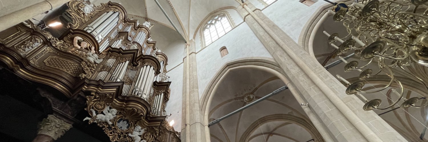 Marco den Toom banner