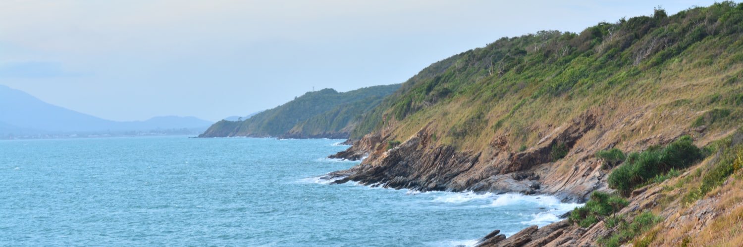 Fasai 🐳 banner
