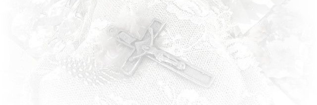 🦷 ‧₊˚✩ coriander ! ₊˚⊹♡ banner