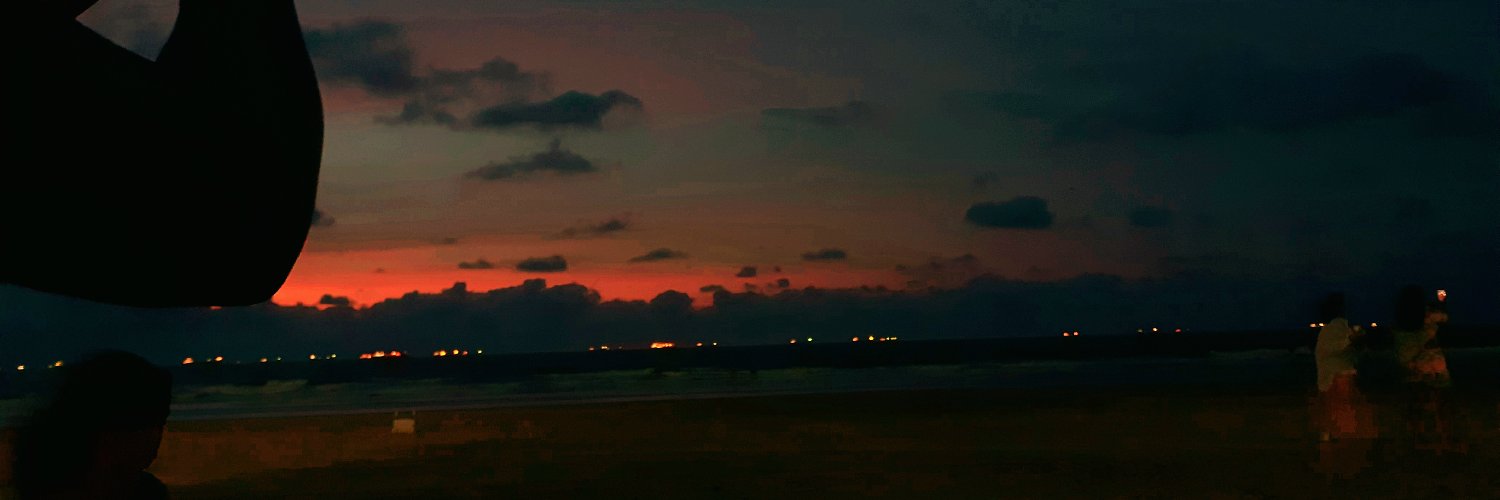 raykwal_'s profile banner image
