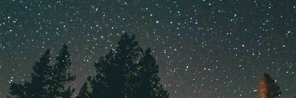 Stainle52129221's profile banner image