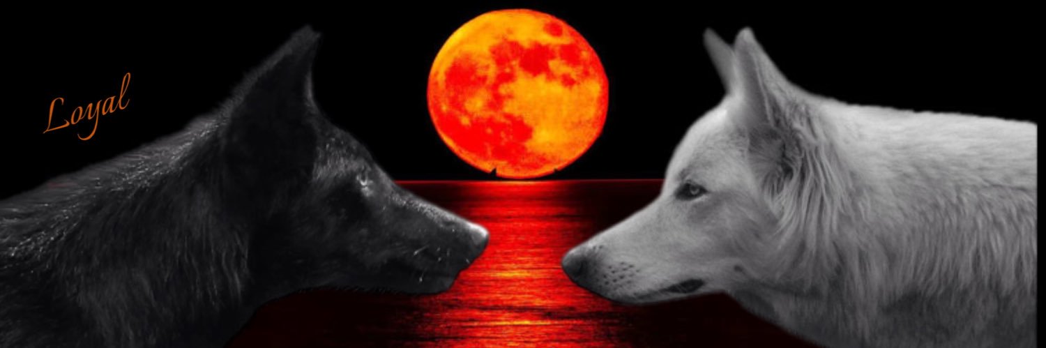 Loyal 🍃🌸🍃 banner