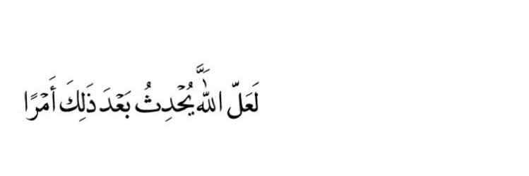 RodinaElsabahy's profile banner image