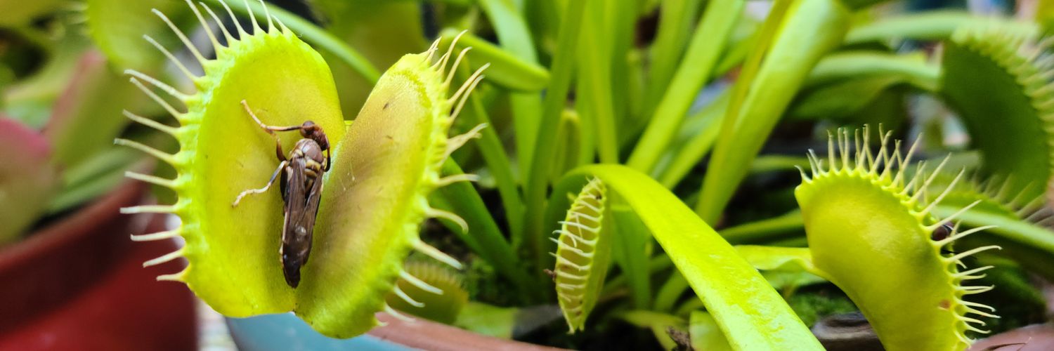 Dusti Cunningham banner