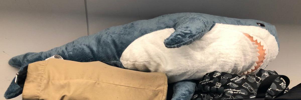 bnnagent's profile banner image