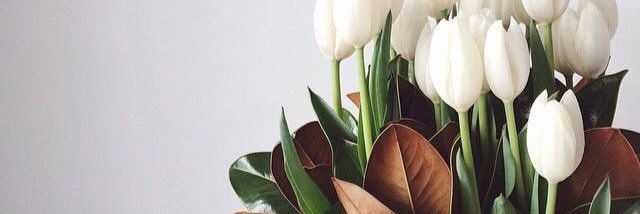 caaamella's profile banner image
