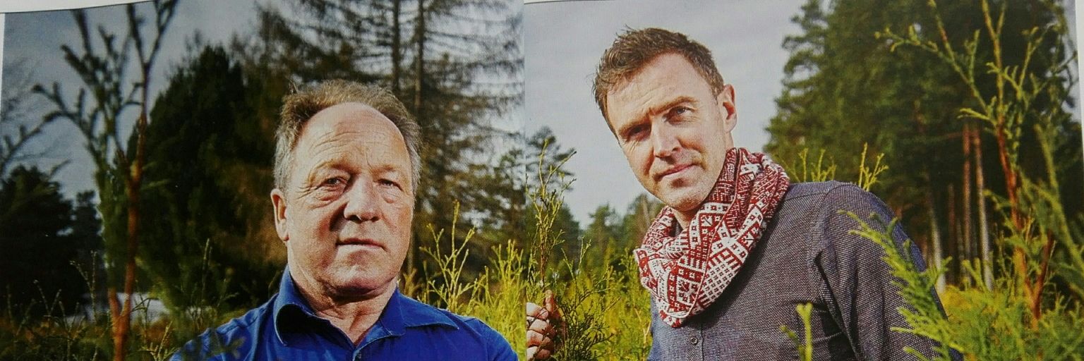 ilvarsauseklis's profile banner image
