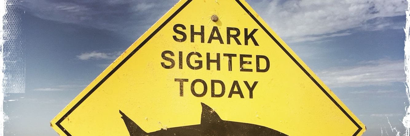 🦈~~Big Gruff~~🦈 banner